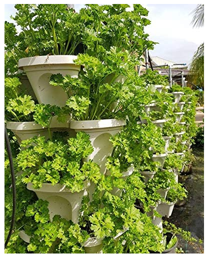 Maximizing Your Garden Yield: 5 Ideas for Elevated and Raised Garden&nbsp;Beds
